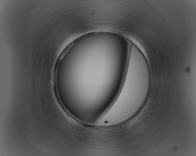 X0000091681093200708231102