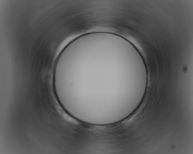 X0000091681094200708231102