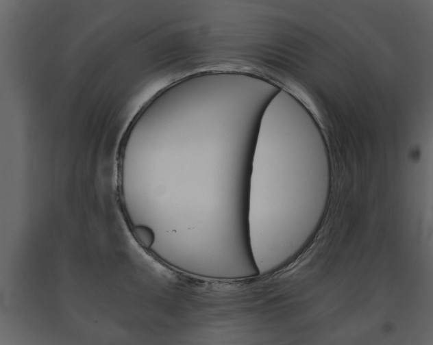 X0000091681095200708231102