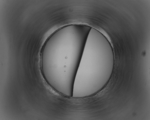 X0000091681096200708231102