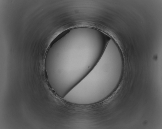 X0000091681097200708231102