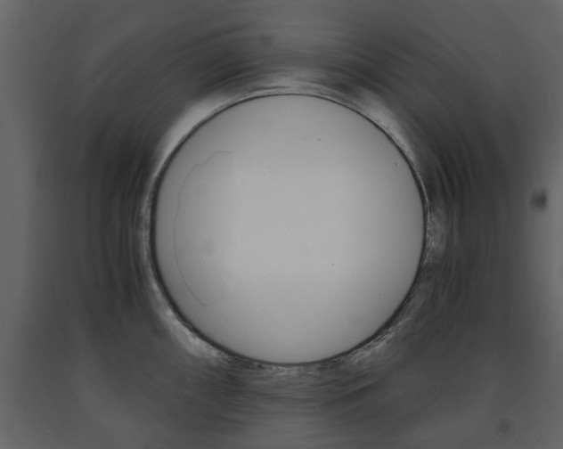 X0000091681098200708231102
