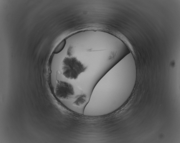X0000091681099200708231102