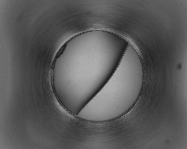 X0000091681100200708231102