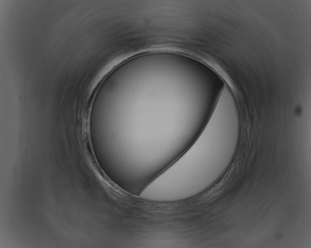X0000091681101200708231102