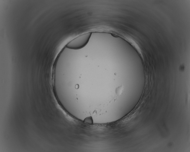 X0000091681103200708231102