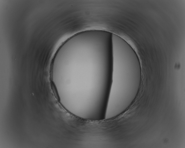 X0000091681104200708231102