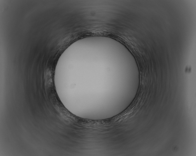 X0000091681106200708231101
