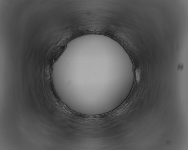 X0000091681107200708231101