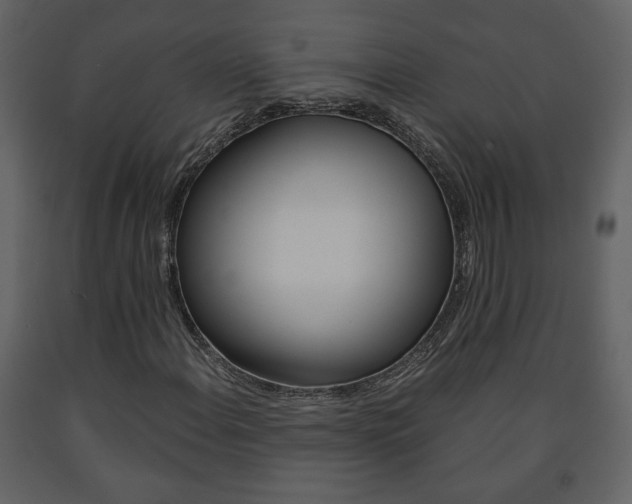 X0000091681108200708231101