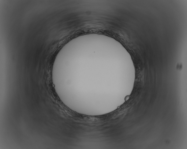 X0000091681109200708231101