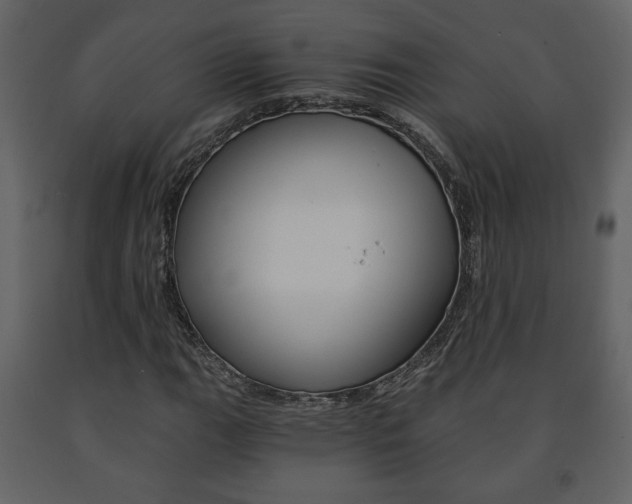 X0000091681111200708231101