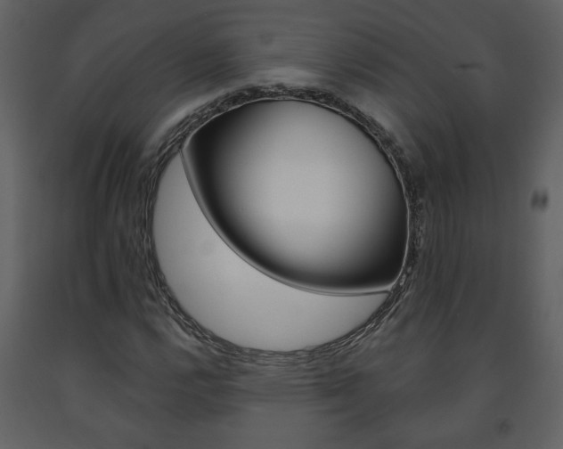 X0000091681112200708231101