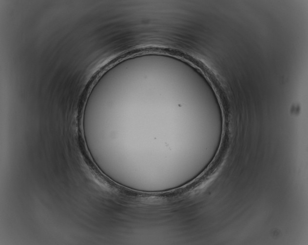 X0000091681113200708231101
