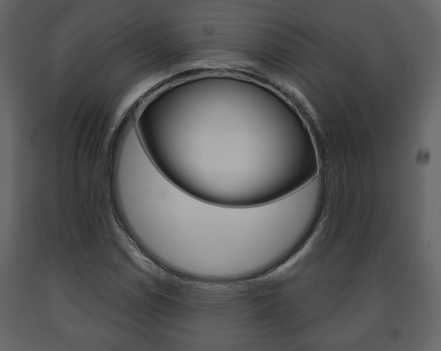 X0000091681114200708231101
