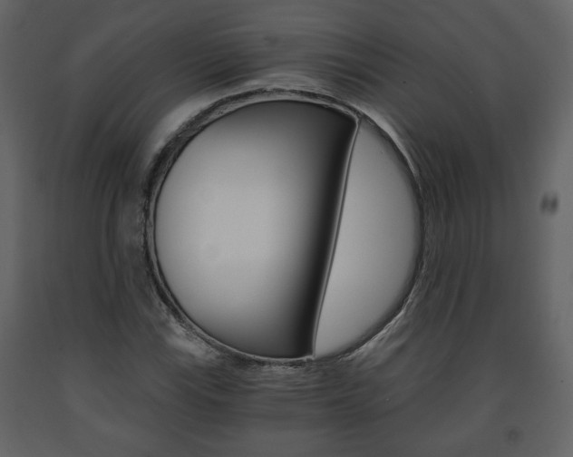 X0000091681115200708231101