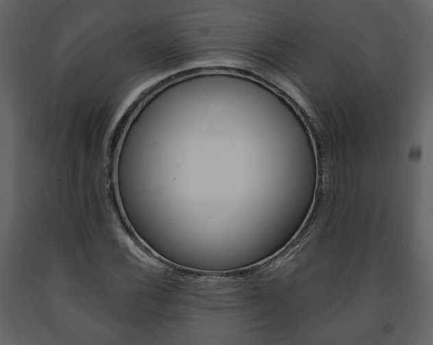 X0000091681116200708231101