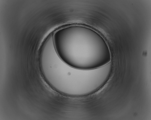 X0000091681118200708231101