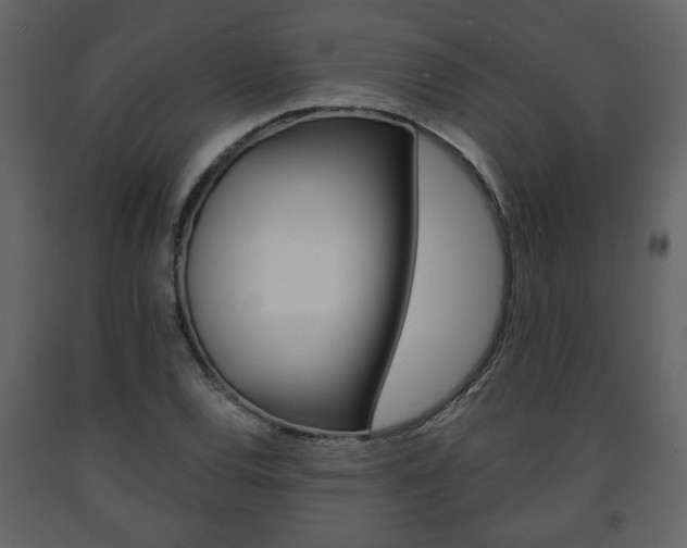 X0000091681120200708231101