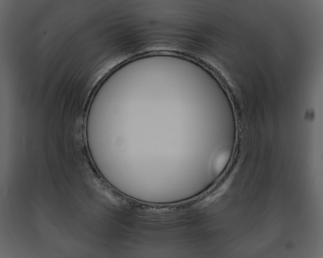 X0000091681121200708231101