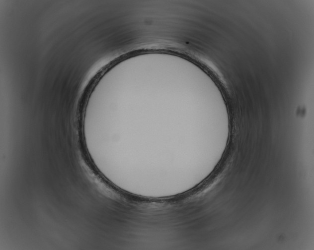 X0000091681122200708231101