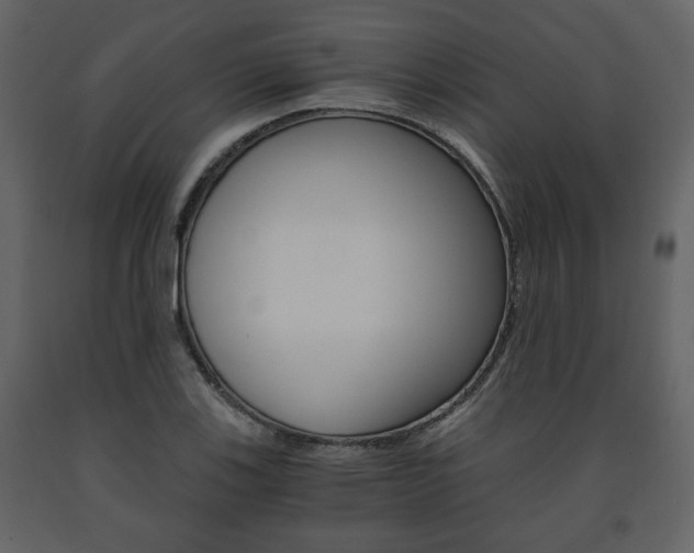 X0000091681123200708231101