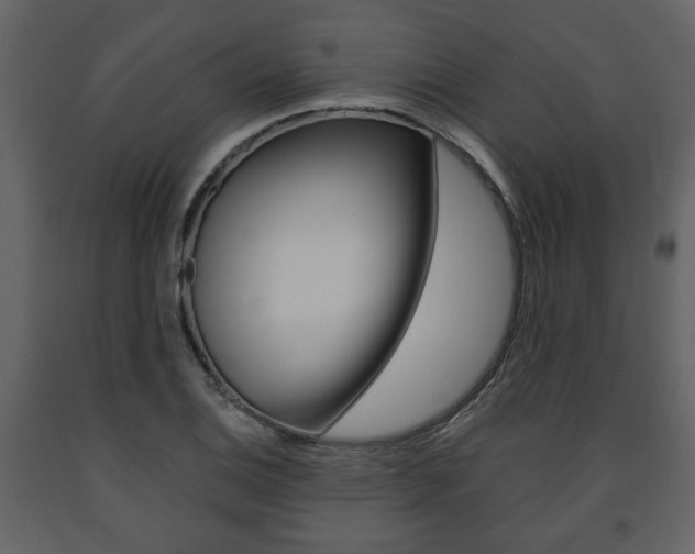 X0000091681124200708231101