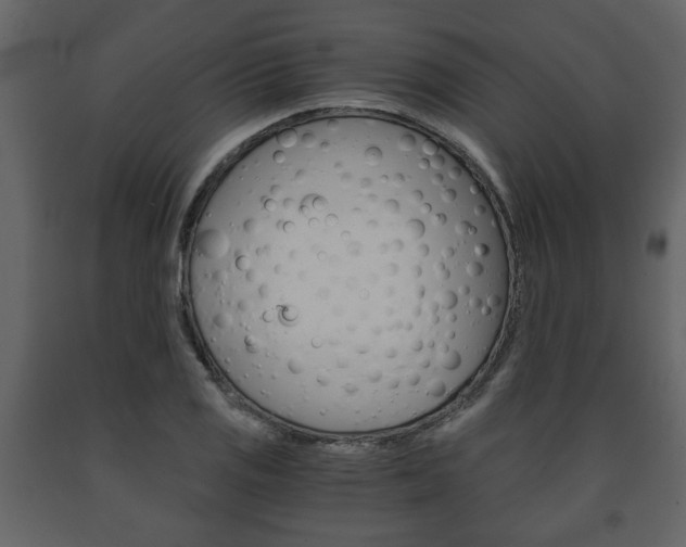 X0000091681125200708231101