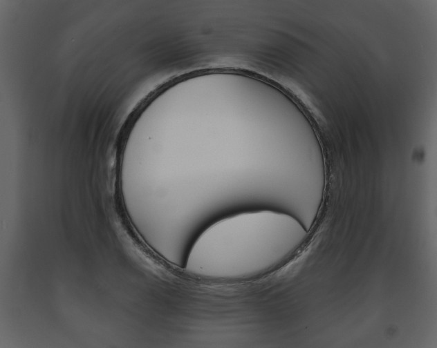 X0000091681126200708231101