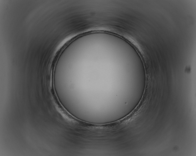 X0000091681127200708231101