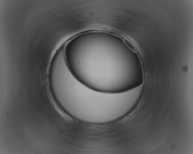 X0000091681128200708231101