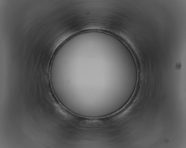X0000091681129200708231101