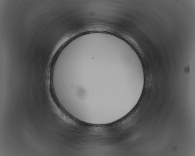 X0000091681130200708231101