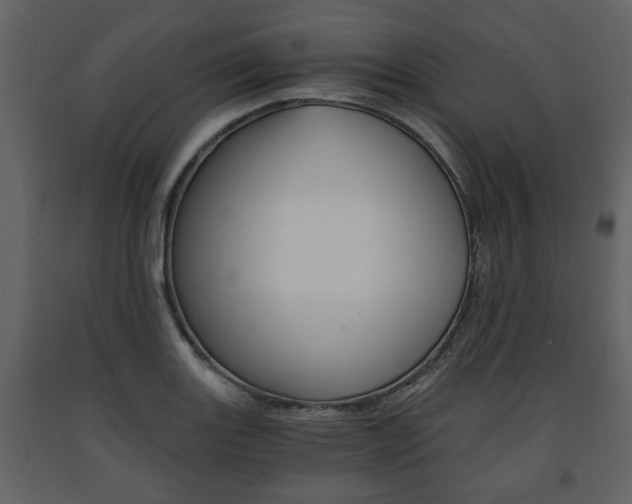 X0000091681131200708231101