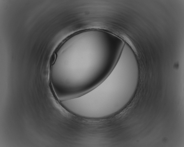 X0000091681132200708231101