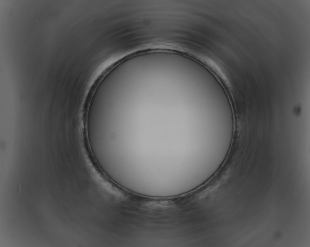 X0000091681133200708231101
