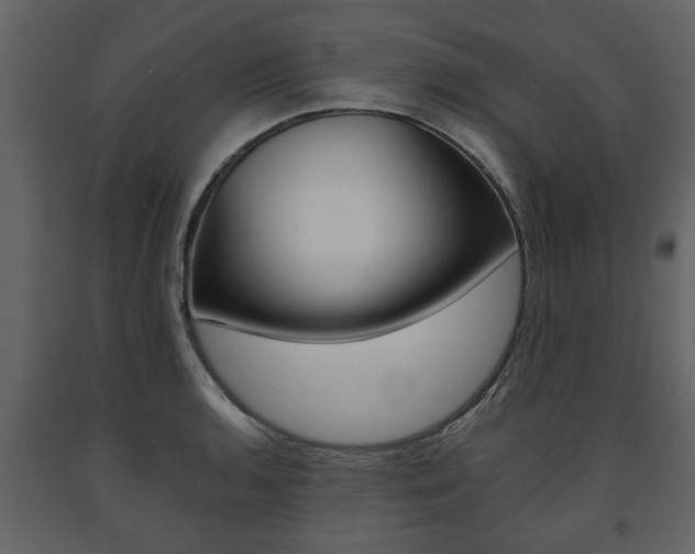 X0000091681136200708231101