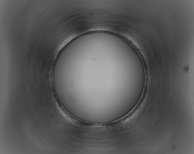 X0000091681137200708231101