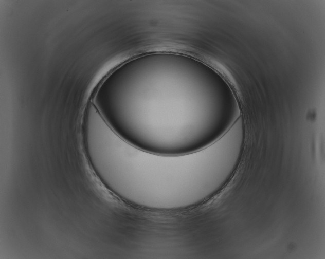 X0000091681138200708231101