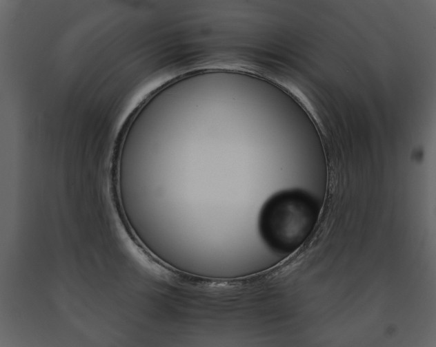 X0000091681139200708231101