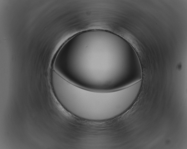X0000091681140200708231101