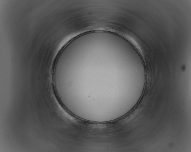 X0000091681141200708231101