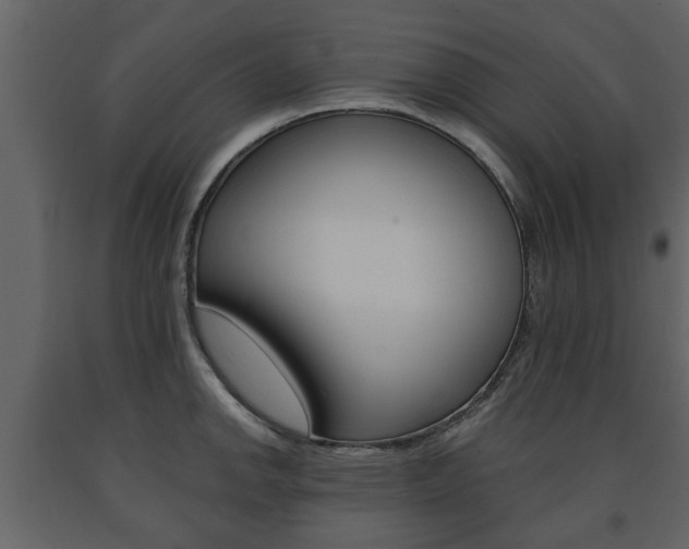 X0000091681142200708231101