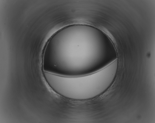 X0000091681144200708231101