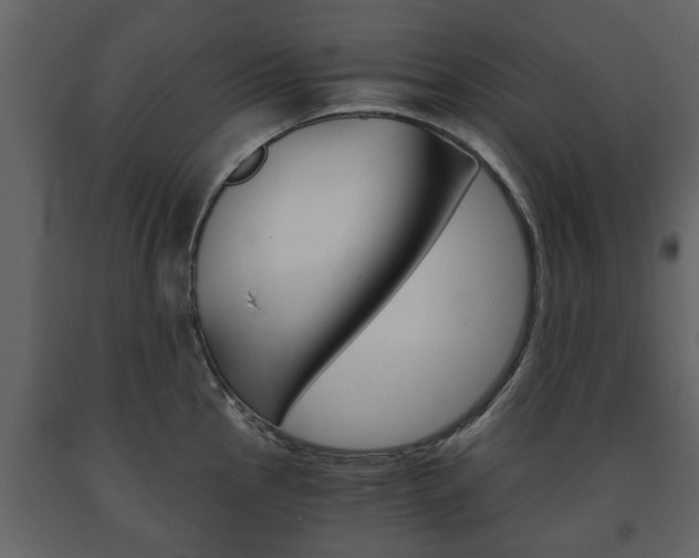 X0000091681145200708231102