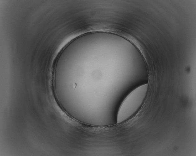 X0000091681147200708231102