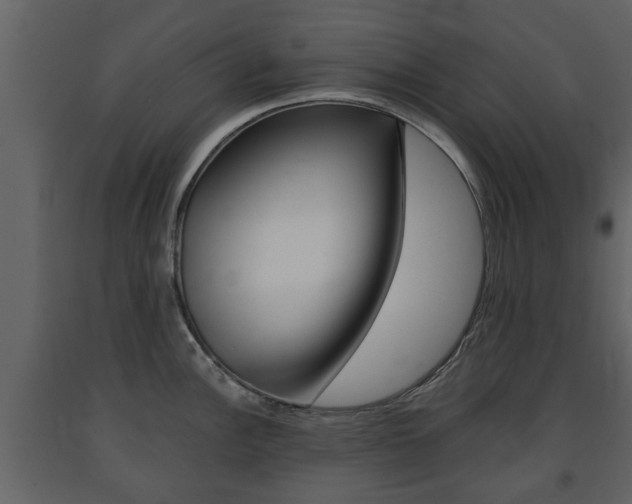 X0000091681148200708231102