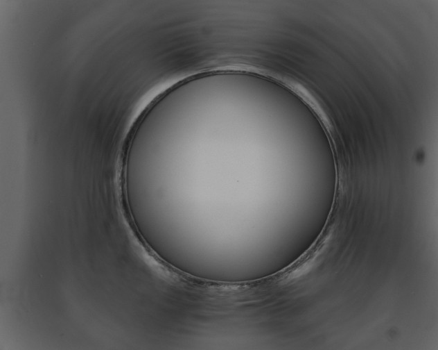X0000091681149200708231102