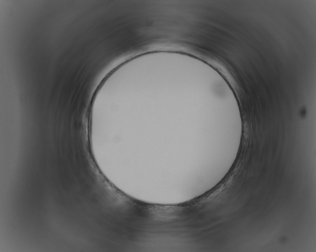 X0000091681150200708231102