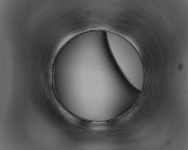 X0000091681151200708231102